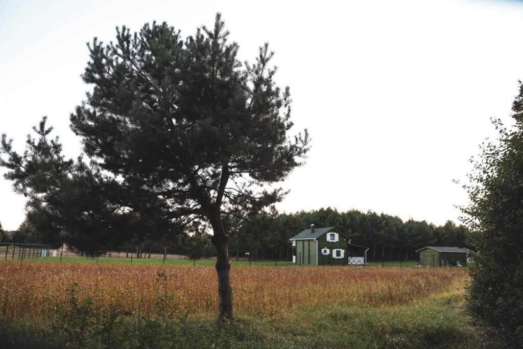 Sloneczny Zagajnik-Domek Na Skraju Lasu, Roztocze, Zwierzyniec Villa Lipowiec Exterior foto